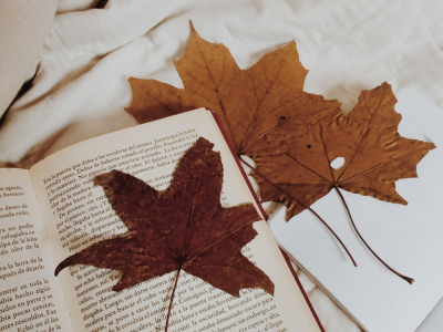A peaceful autumn scene with golden leaves falling, symbolizing reflection and letting go. This image represents the quiet, introspective energy of autumn, encouraging women to focus on their well-being and embrace the season of transformation