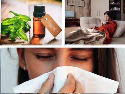 Holistic remedies for winter wellness, including essential oils, nourishing foods, and reflexology techniques to recover naturally from colds." This description aligns with the blog's theme and emphasizes key elements of the content while staying concise and accessible