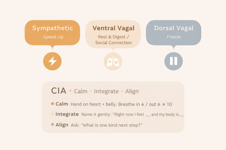 Infographic showing nervous system states: sympathetic (fight/flight), ventral vagal (rest and digest/social connection), dorsal vagal (freeze), plus CIA steps to reset.