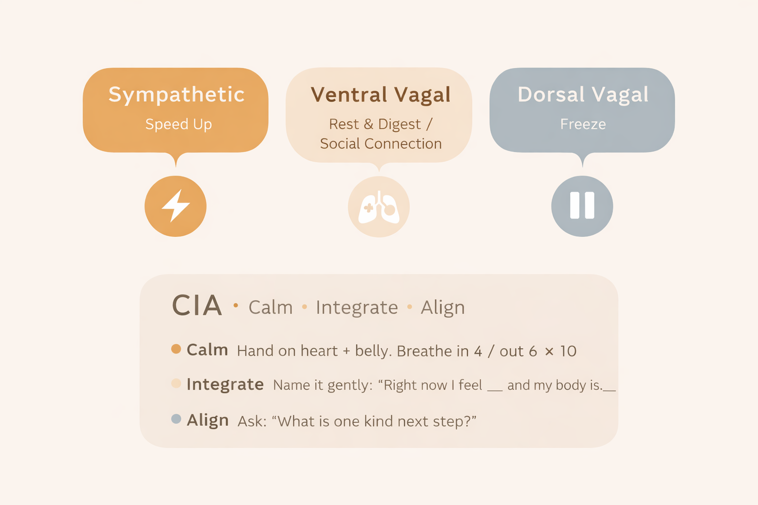 Infographic showing nervous system states: sympathetic (fight/flight), ventral vagal (rest and digest/social connection), dorsal vagal (freeze), plus CIA steps to reset.